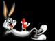 cfbugsbunny's Avatar